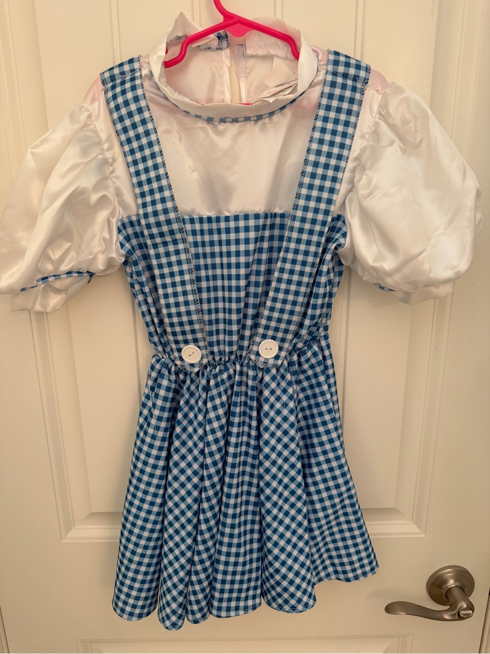 Rubie's Blue Gingham Pinafore Dorothy Costume with White Puff Sleeves with Toto